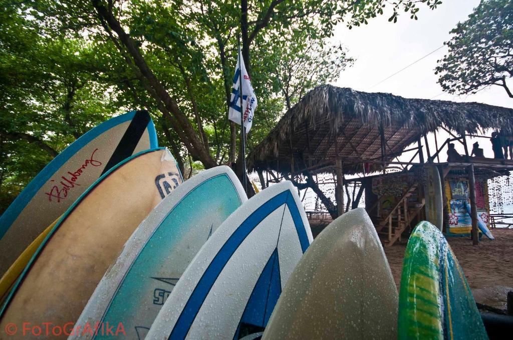 Cabarete Surf Camp Hotel Exterior foto