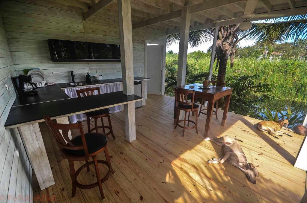 Cabarete Surf Camp Hotel Exterior foto