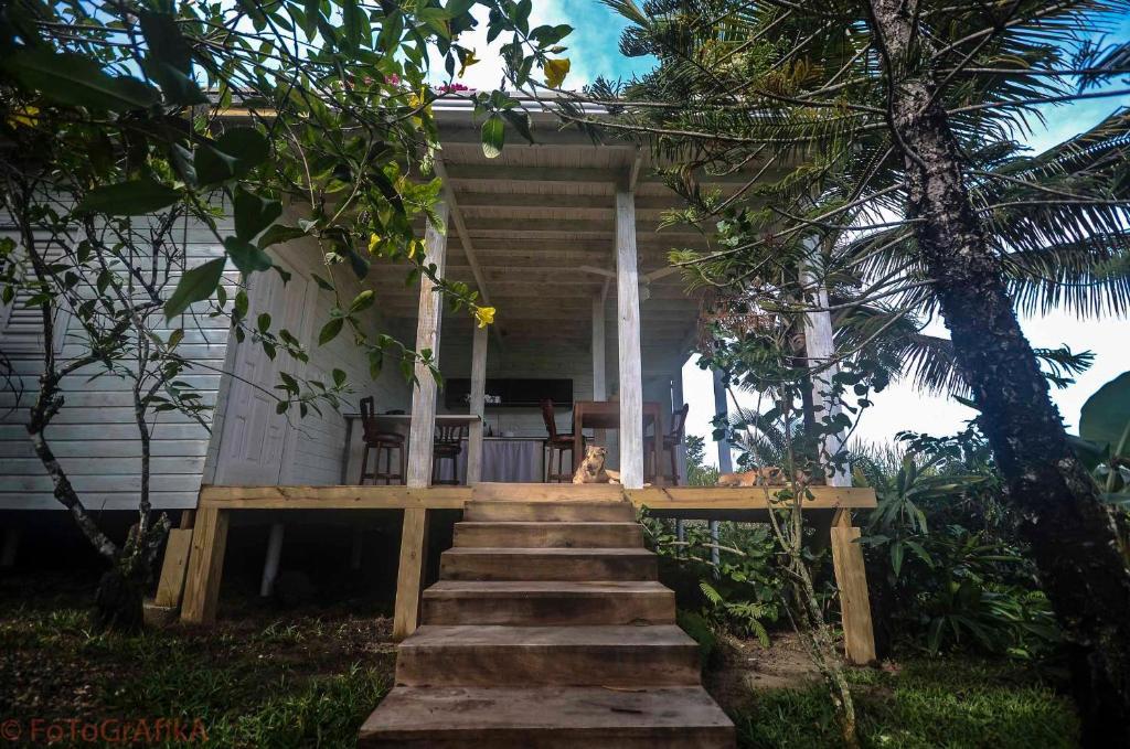 Cabarete Surf Camp Hotel Exterior foto