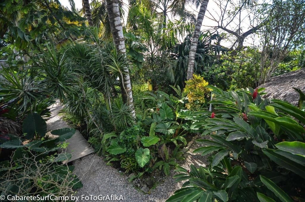 Cabarete Surf Camp Hotel Exterior foto