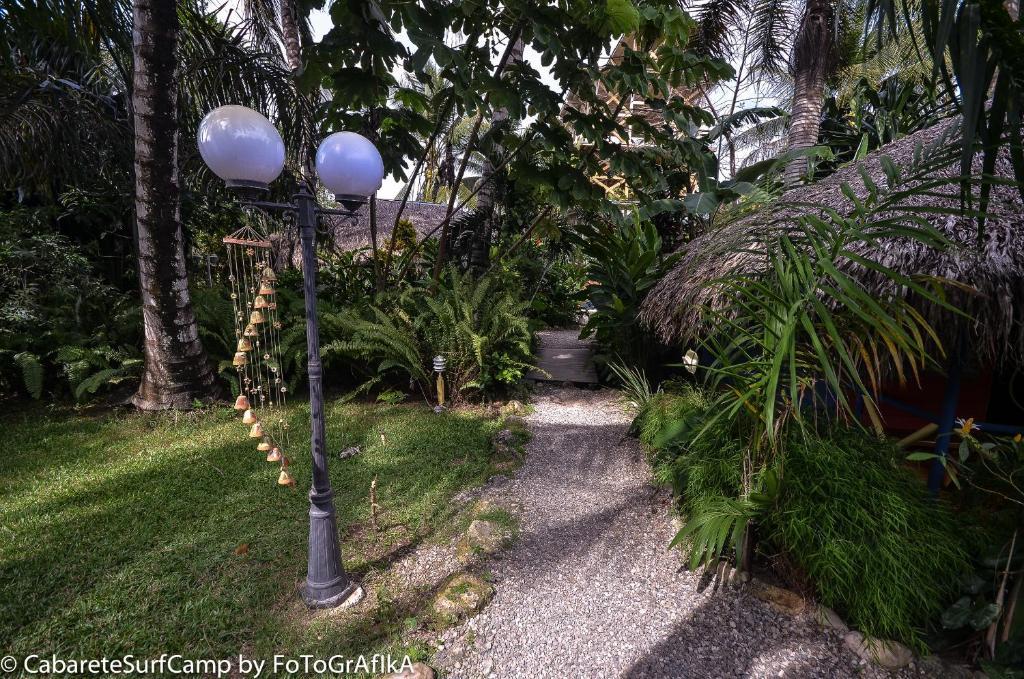 Cabarete Surf Camp Hotel Exterior foto