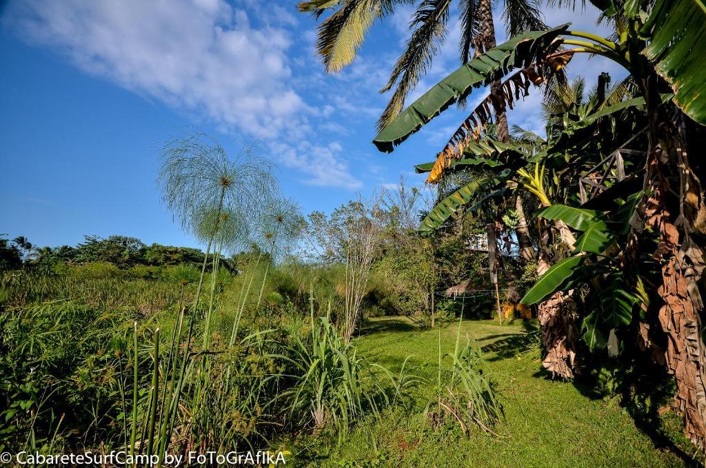 Cabarete Surf Camp Hotel Exterior foto