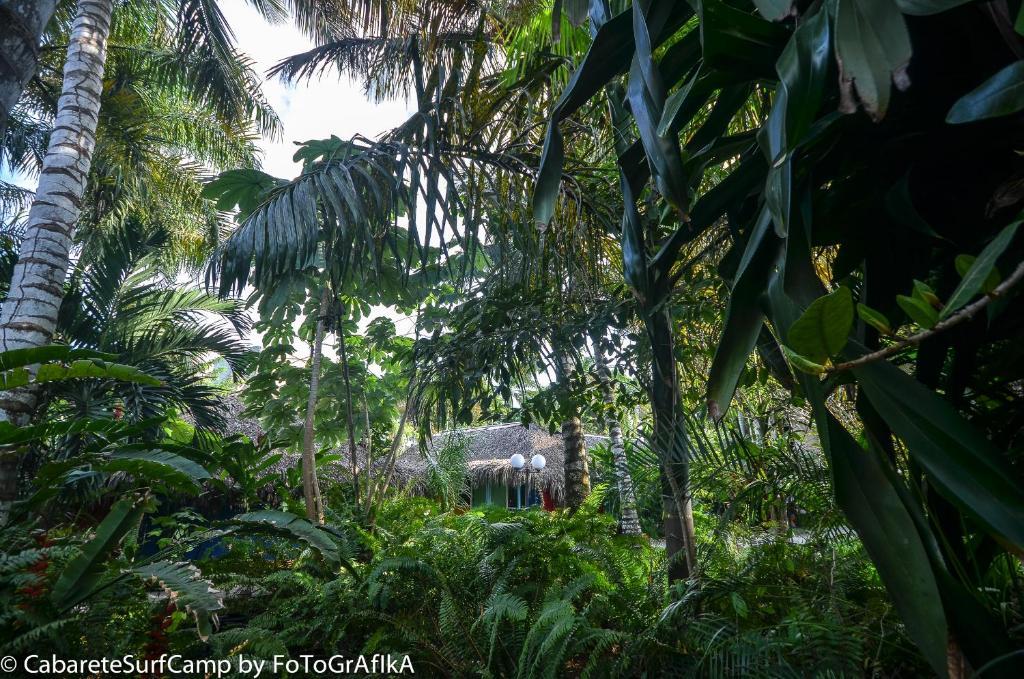 Cabarete Surf Camp Hotel Exterior foto