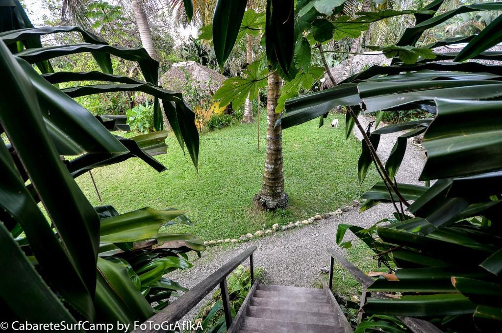 Cabarete Surf Camp Hotel Exterior foto